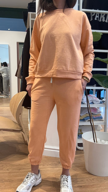 Coordinato Laura